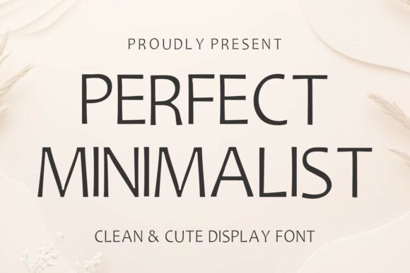 Evaluating Perfect Minimalist for Clean and Elegant Design Projects