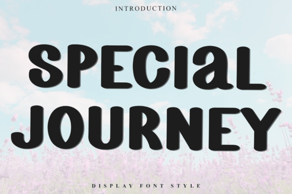 Special Journey: A Practical Guide to Friendly Display Typography